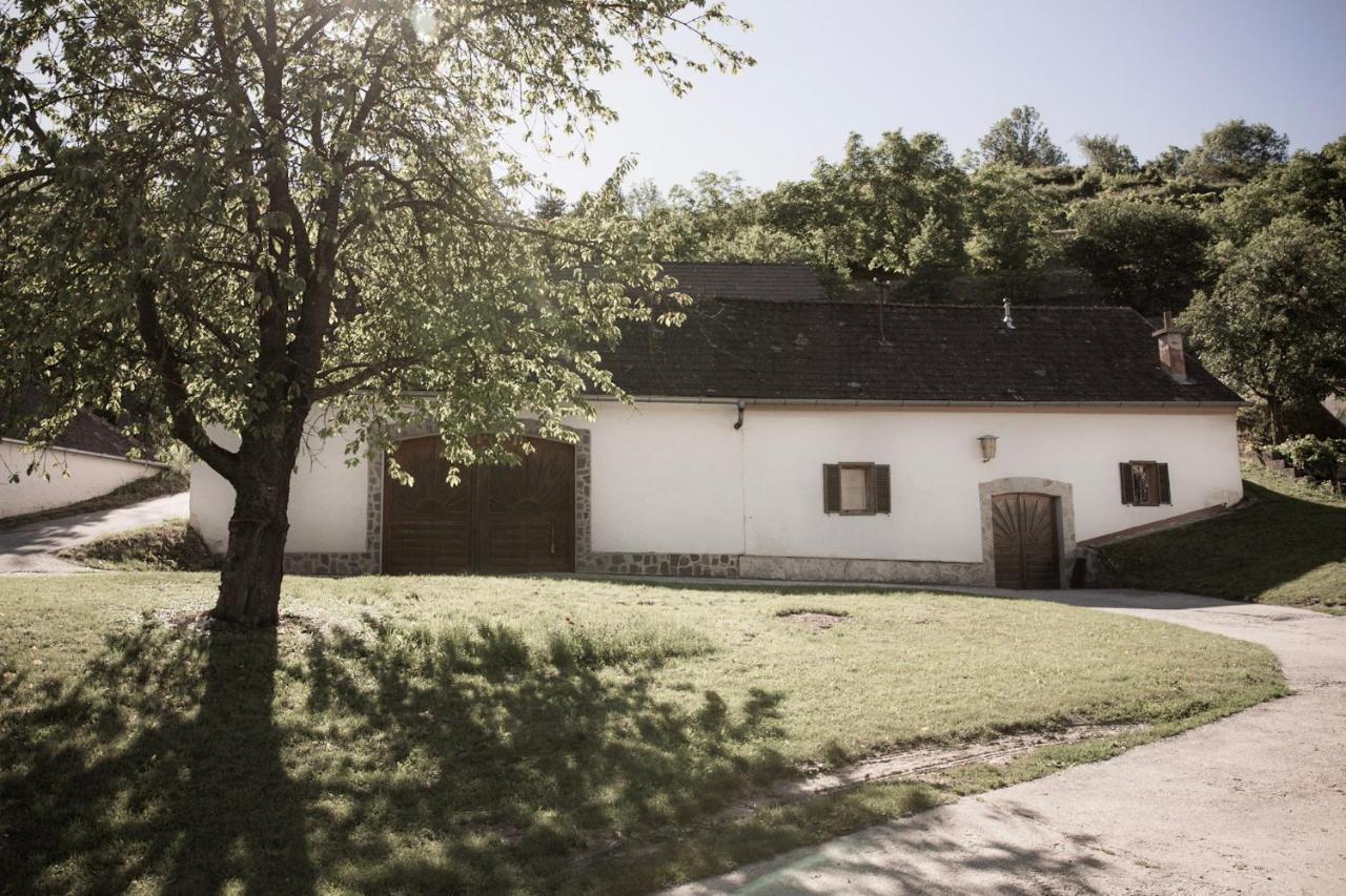 Ferienwohnung Am Weingut Eisenbock Strass  Exterior foto