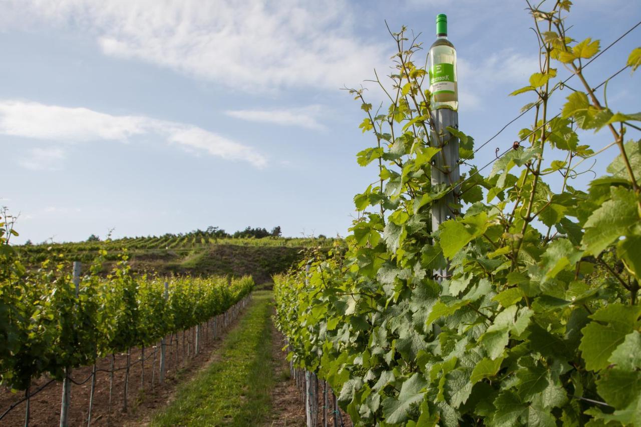 Ferienwohnung Am Weingut Eisenbock Strass  Exterior foto